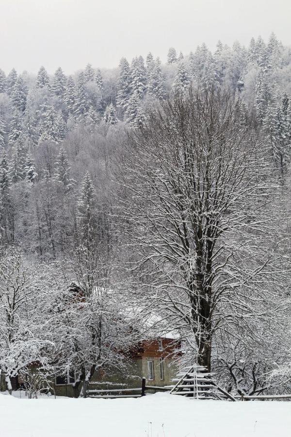 Багрівчанка Apartment Yaremche Luaran gambar
