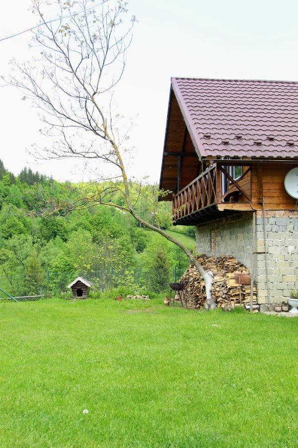 Багрівчанка Apartment Yaremche Luaran gambar