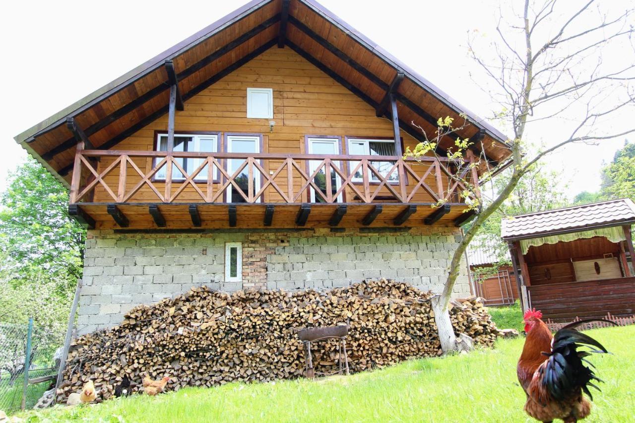 Багрівчанка Apartment Yaremche Luaran gambar